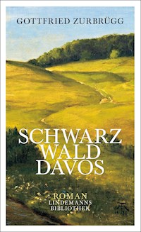 Schwarzwalddavos - Gottfried Zurbrügg - ebook
