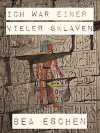 Ich war einer vieler Sklaven - Bea Eschen - ebook