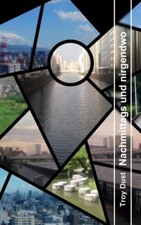 Nachmittags und nirgendwo - Troy Dust - ebook