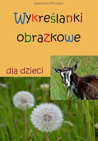 Wykreślanki obrazkowe dla dzieci - Katarzyna Michalec - ebook