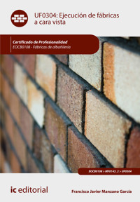 Ejecución de fábricas a cara vista. EOCB0108 - Francisco Javier Manzano García - ebook