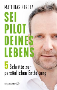 Sei Pilot deines Lebens - Matthias Strolz - ebook