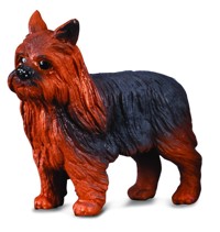 Pies yorkshire terrier -  - książka