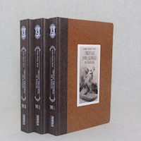 Cmentarz Powązkowski pod Warszawą - Wójcicki Kazimierz Władysław - książka