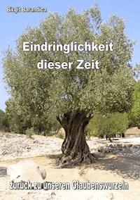 Eindringlichkeit dieser Zeit - Birgit Barandica - ebook