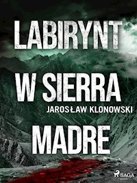 Labirynt w Sierra Madre - Jarosław Klonowski - ebook + audiobook + książka