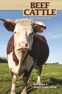 Beef Cattle - Ann Larkin Hansen - ebook