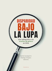 Disparidad bajo la lupa - Rodrigo Vergara Montes - ebook