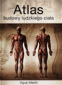 Atlas budowy ludzkiego ciała - Vigue Jordi - książka
