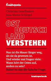 Ostdeutschland verstehen - Christian Gesellmann - ebook