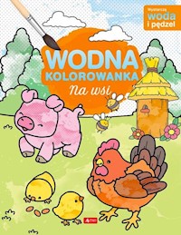 Na wsi Wodna kolorowanka -  - książka