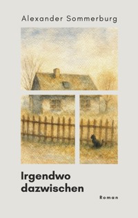 Irgendwo dazwischen - Alexander Sommerburg - ebook