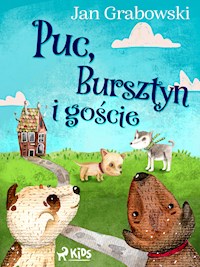 Puc, Bursztyn i goście - Jan Grabowski - ebook + audiobook