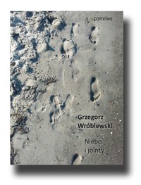 Niebo i jointy - Grzegorz Wróblewski - książka