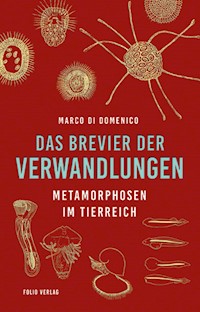 Das Brevier der Verwandlungen - Marco Di Domenico - ebook