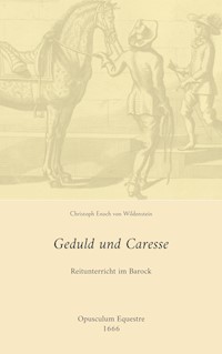 Geduld und Caresse - Christoph Enoch von Wildenstein - ebook