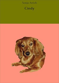 Cindy - Sonja Arrich - ebook