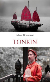 Tonkin - Marc Bonvalet - ebook