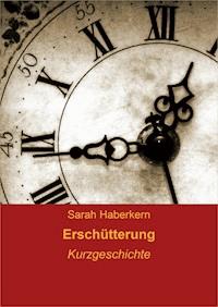 Erschütterung - Sarah Haberkern - ebook