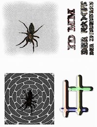 DER KAMPF DER SPINNENFRAU - Maik Mueller - ebook