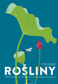 Rośliny. Cuda natury na wyjątkowych ażurowych rycinach - Hélene Druvert, Juliette Einhorn - książka