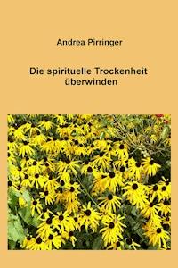 Die spirituelle Trockenheit überwinden - Andrea Pirringer - ebook