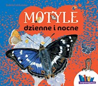 Motyle dzienne i nocne - Dziekańska Izabela - książka