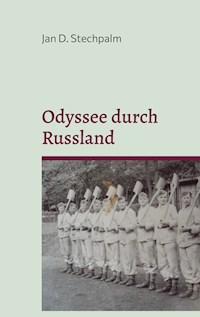 Odyssee durch Russland - Jan D. Stechpalm - ebook