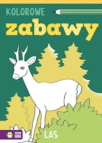 Kolorowe zabawy Las -  - książka