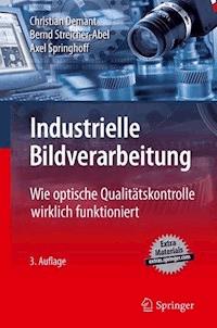 Industrielle Bildverarbeitung - Christian Demant - ebook