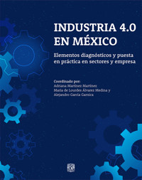 Industria 4.0 en México. Elementos diagnósticos y puesta en práctica en sectores y empresas - María de Lourdes Álvarez Medina - ebook
