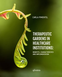 Therapeutic Gardens in Healthcare Institutions - Carla Pimentel - ebook