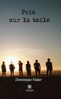 Pris sur la toile - Dominique Vialar - ebook