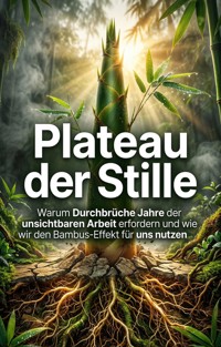 Plateau der Stille - Markus Bergmann - ebook