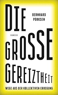 Die große Gereiztheit - Bernhard Pörksen - ebook