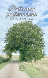 Patienter patiemment - Sandrine Rabineau - ebook