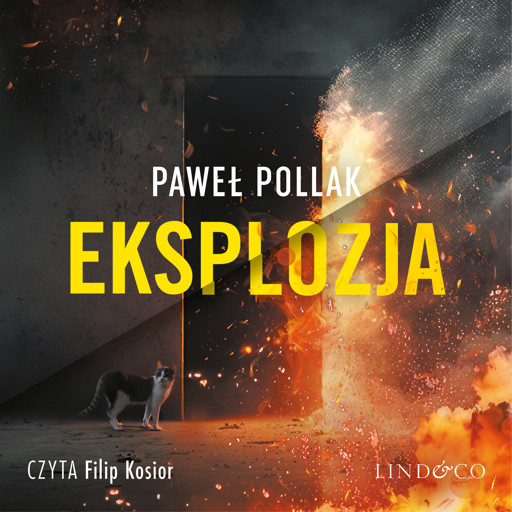 Okładka książki Eksplozja