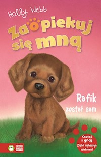 Zaopiekuj się mną Rafik został sam - Webb Holly - książka