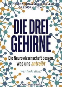 Die drei Gehirne - Gregory Bicaj - ebook