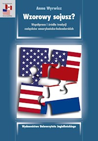 Wzorowy sojusz? - Wyrwisz Anna - książka