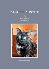 Ausgeflauscht - Norbert Neumann - ebook