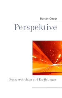 Perspektive - Hakan Cesur - ebook