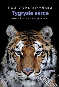 Tygrysie serce - Zgrabczyńska Ewa - książka