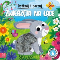 Dotknij i poczuj. Zwierzęta na łące. Książeczka sensoryczna - Wasilewicz Grażyna - książka
