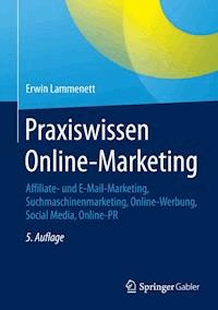 Praxiswissen Online-Marketing - Erwin Lammenett - ebook