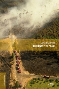 Ogień wyszedł z lasu - Dawid Iwaniec - ebook