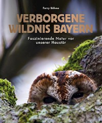 Verborgene Wildnis Bayern - Ferry Böhme - ebook