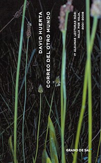 Correo del otro mundo (y algunas lecturas más) - David Huerta - ebook