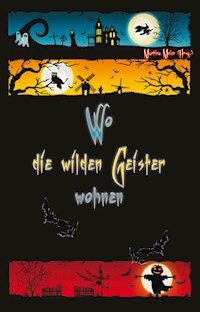 Wo die wilden Geister wohnen - Martina Meier - ebook