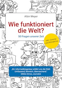 Wie funktioniert die Welt? - Albin Meyer - ebook